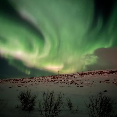 Leilighet I Vadsø Kültér fotó