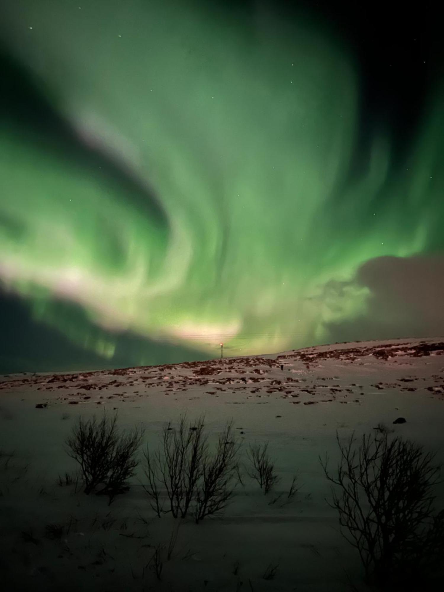 Leilighet I Vadsø Kültér fotó